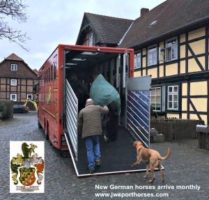 loading-on-transport-van-germany